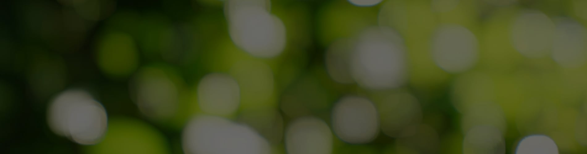 cannabidiol, cannabis law, federal trade commission