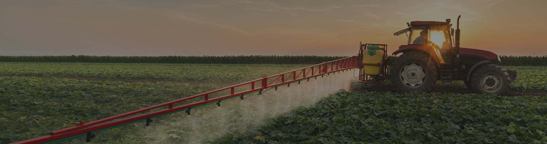 Federal Court Orders Review of PMRA Decision Renewing Glyphosate Pesticide