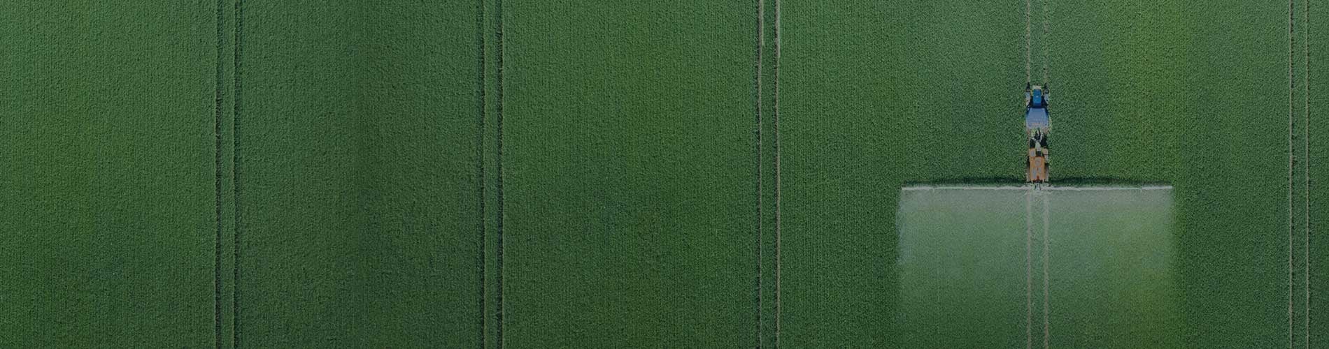 Field Notes Recent Pesticide Initiatives in Canada