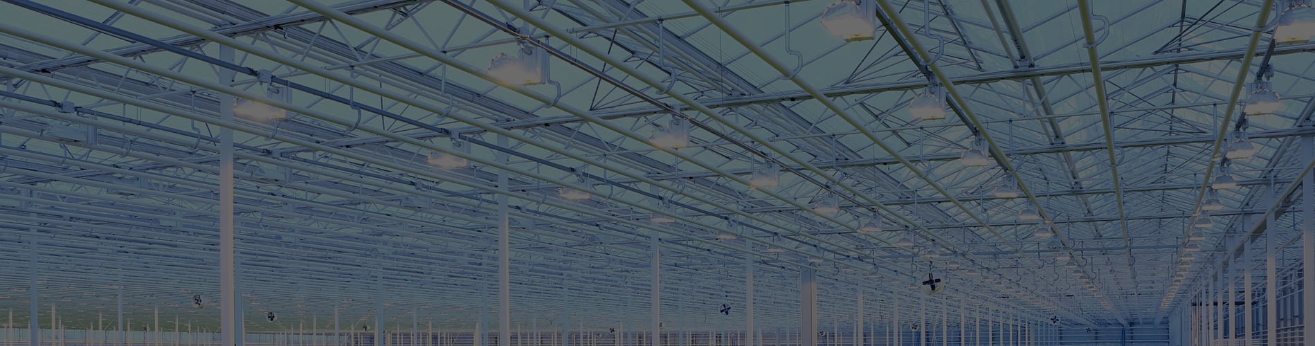 cannabis industry