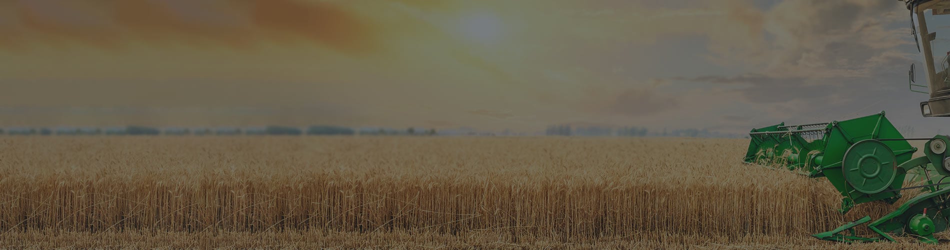 Growing From Here Alberta Food Beverage and Agribusiness on Display