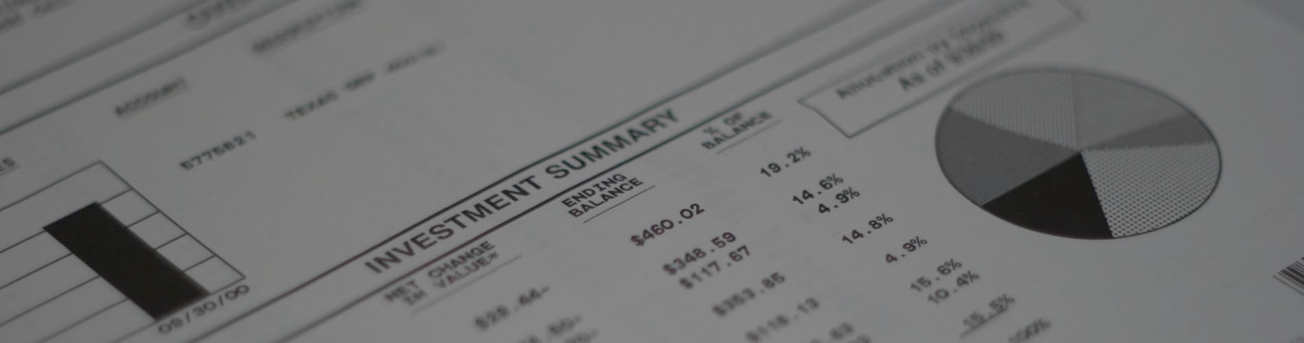 Investment Report