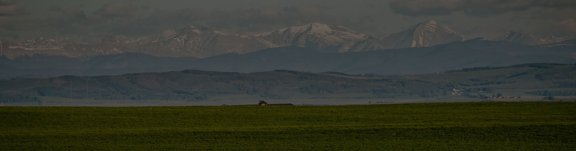 Fresh green of Farmland in Southern Alberta in Canada