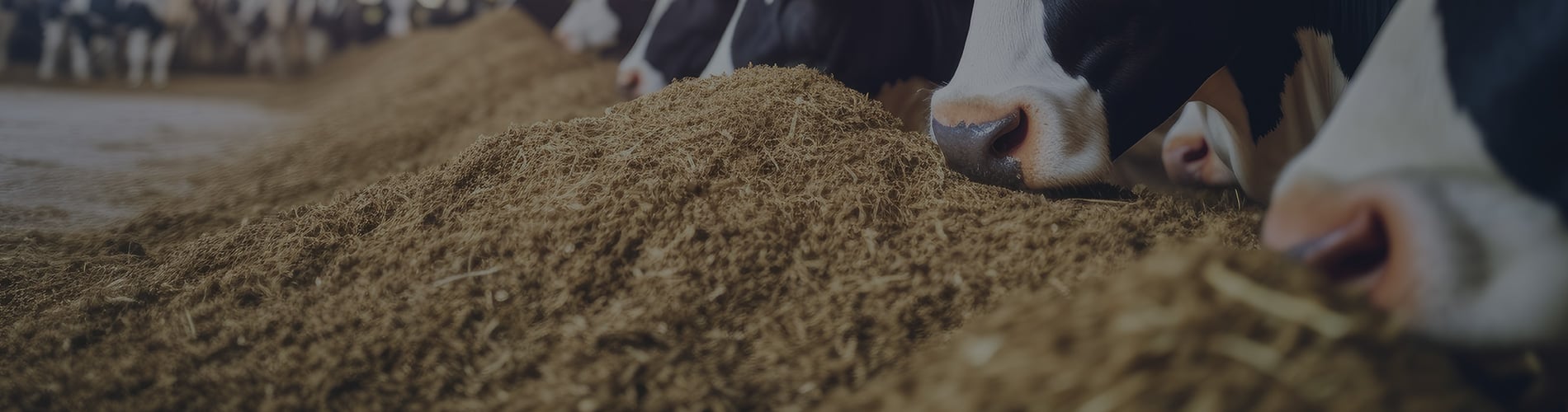 Long Overdue Updates to Canada's Feed Regulations Now in Effect