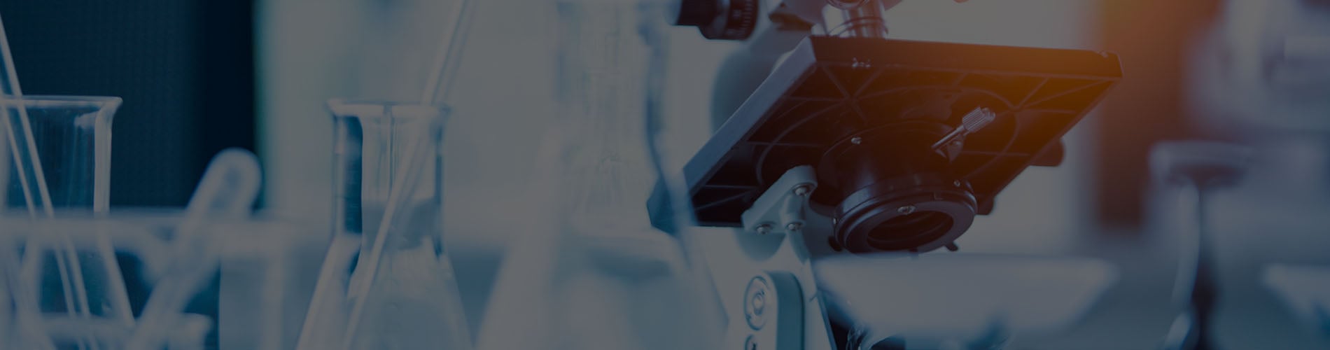 coronavirus, covid-19