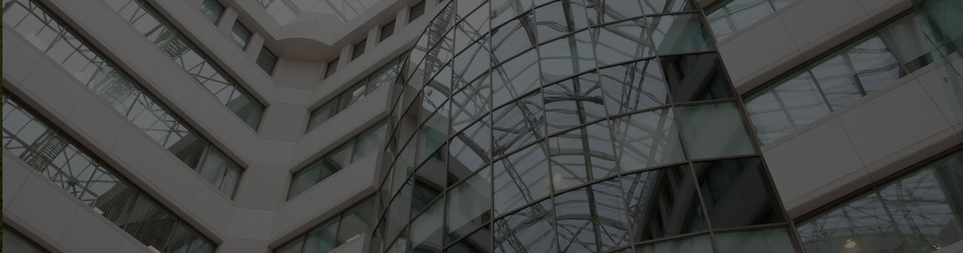 Battiston v. Microsoft Canada Inc. 