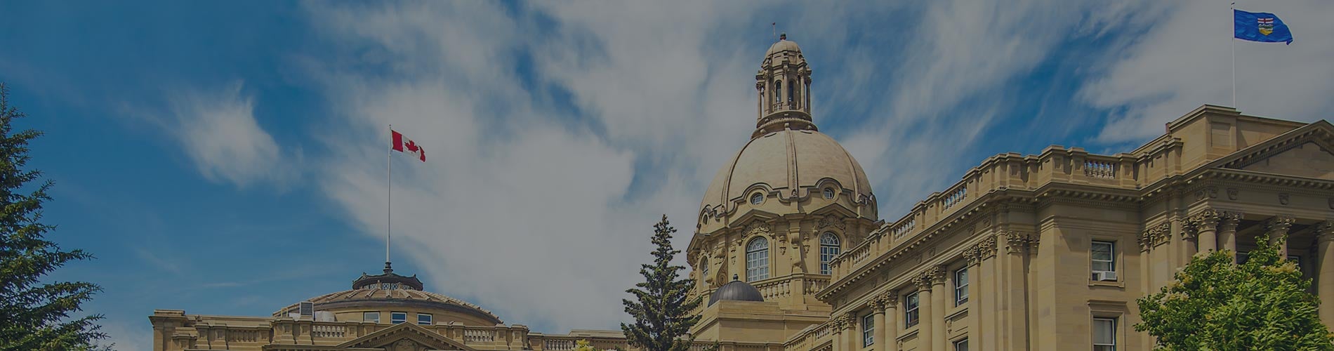 Navigating Political Contributions Albertas Elections Finances and Contributions Disclosure Act