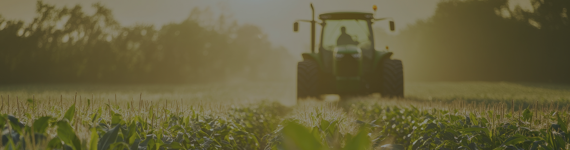 Navigating the Future of Agribusiness at Alberta Next