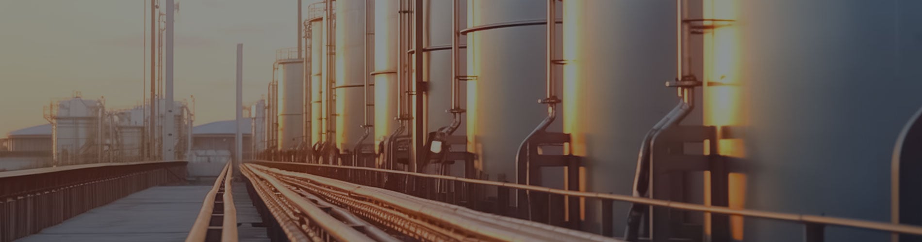 Alternative Financing for Oil and Gas Producers The Securitization of Oil and Gas Assets