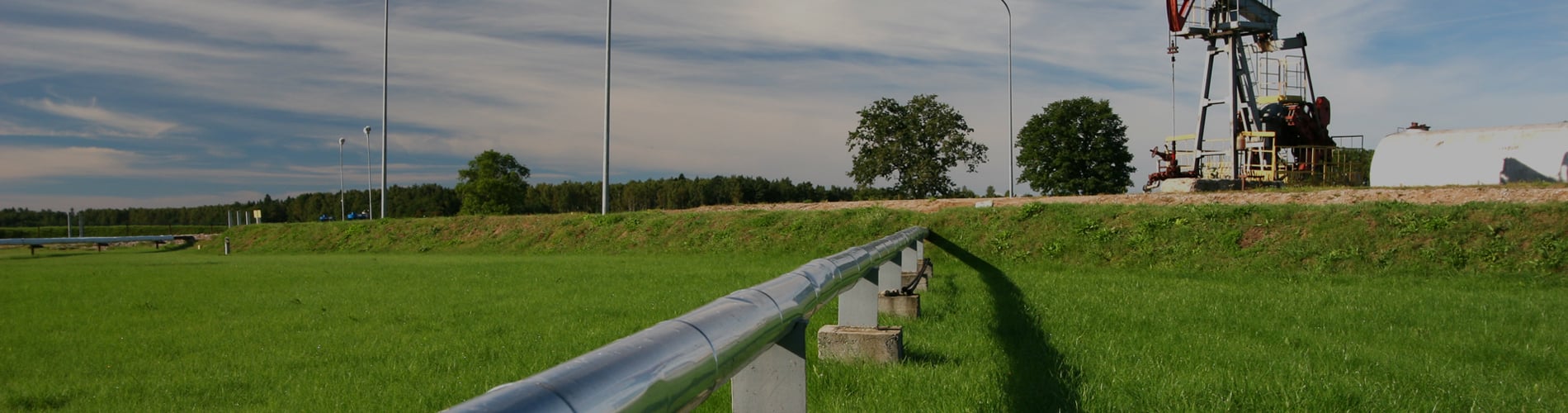 Pipeline in nature