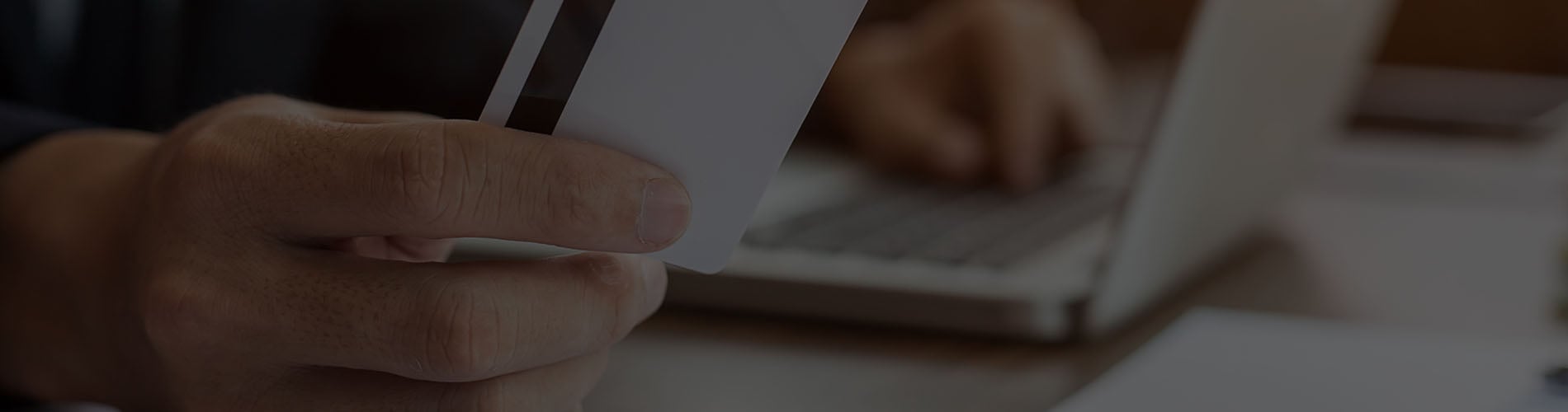 Using laptop computer, holding credit card