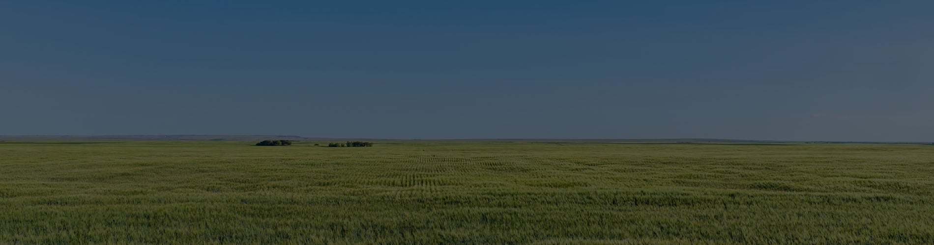 saskatchewan landscape