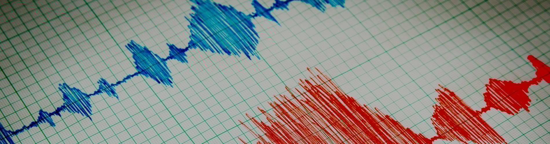 Seismic data