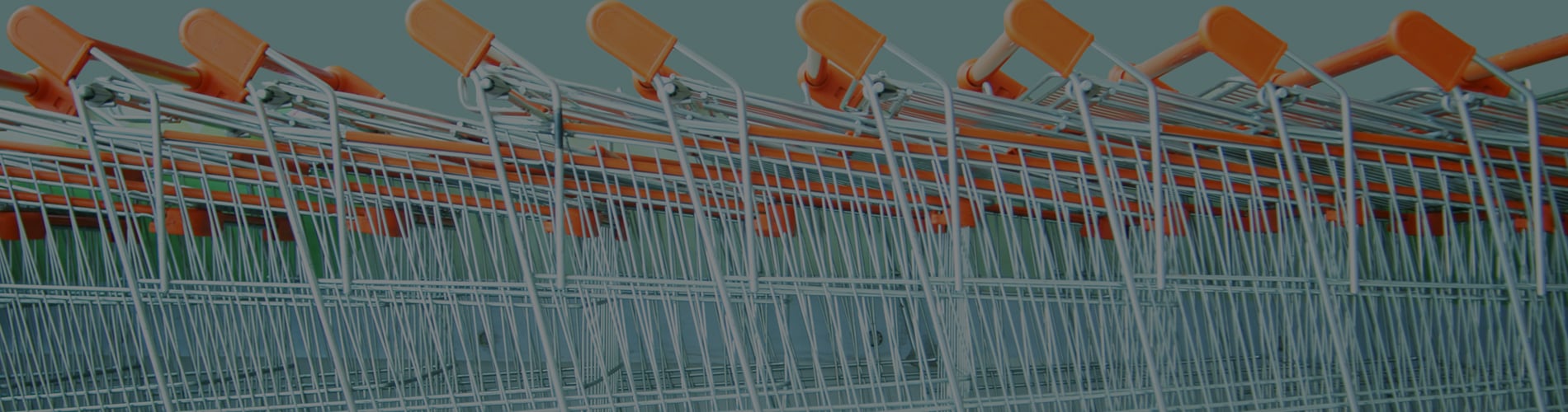 Shopping carts