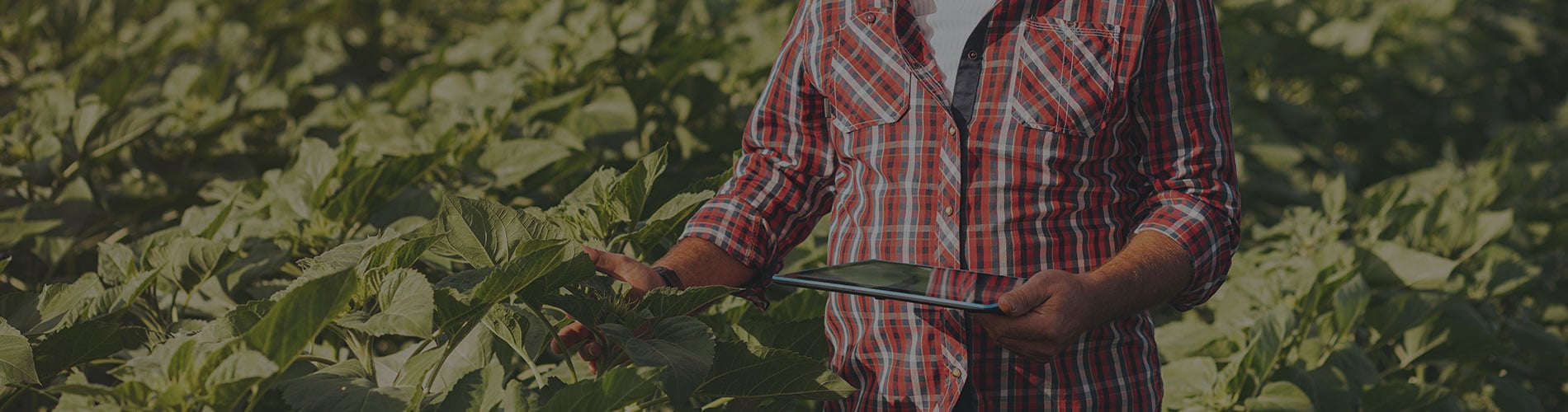 Health Canada and the Canadian Food Inspection Agency (CFIA) are currently seeking feedback on the development of voluntary guidance for providing information for foods that are sold to consumers through e-commerce. 