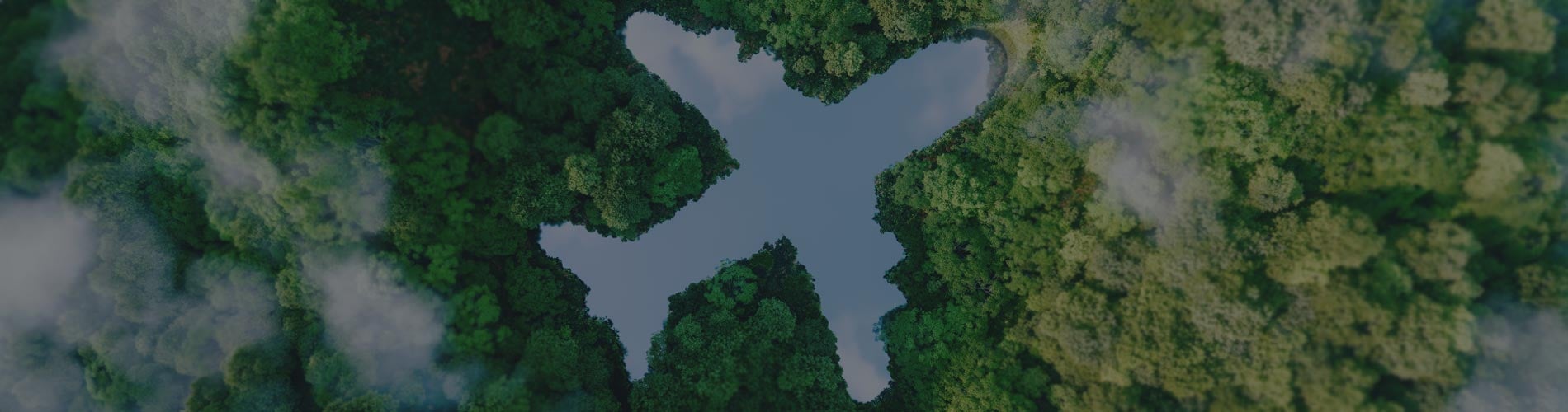 Sustainable Aviation Fuel and Decarbonizing Canadas Aviation Industry