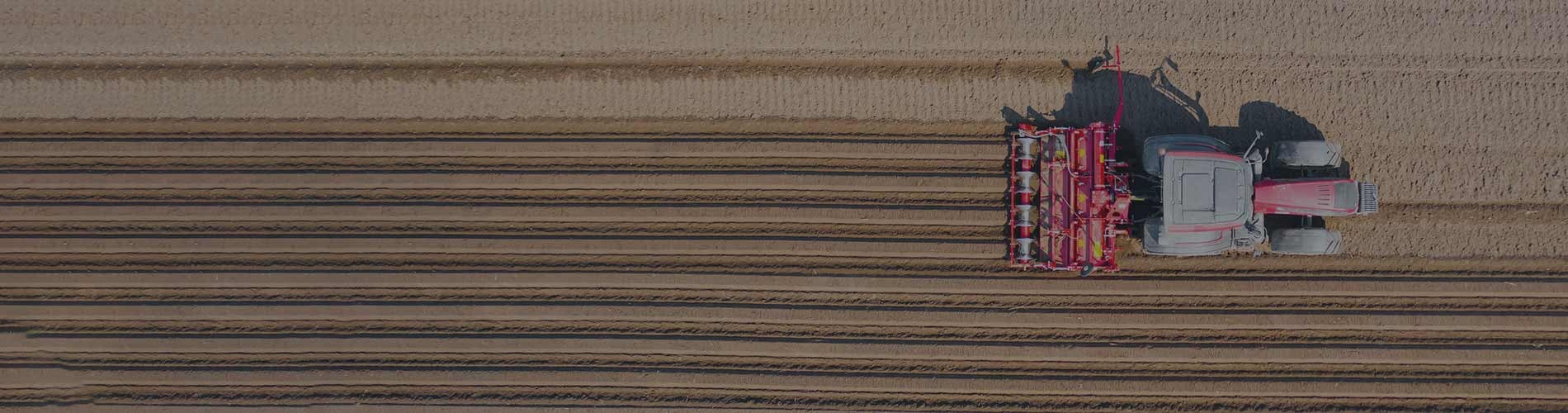 Trends to Watch in Agribusiness