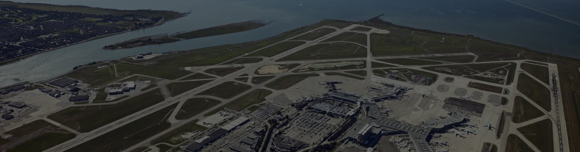 antitrust law, competition lawyers