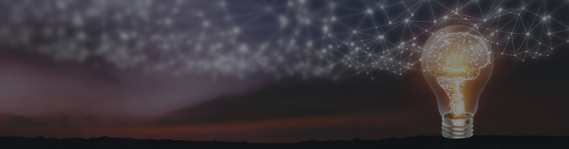 A New International Treaty on Intellectual Property and Indigenous Knowledge