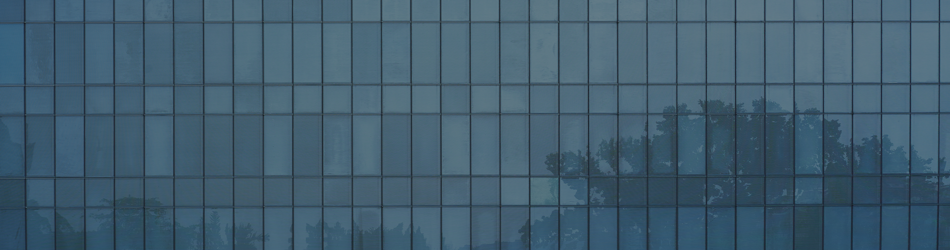 What Does the SPAC IPO Rebound Mean for Cross Border Deals