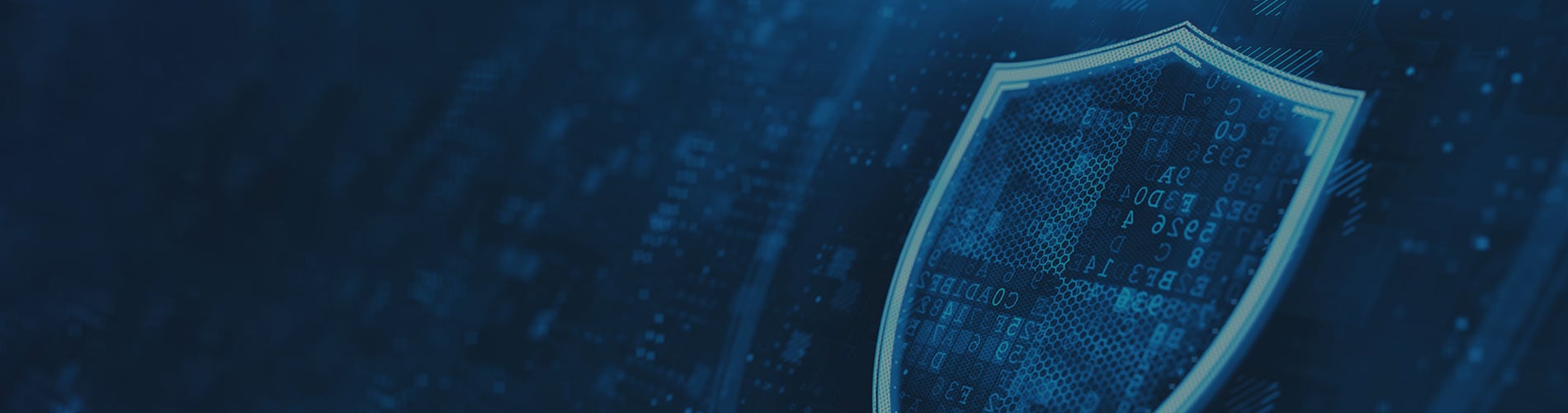 Privacy Reforms Now Back Along with New AI Regulation