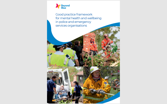 beyond-blue-resource-good practice framework