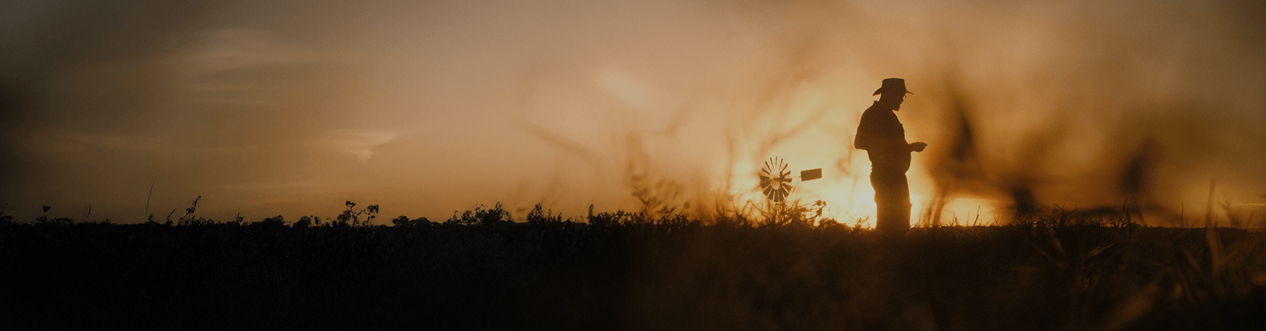 natural-disasters-cropped_compressed