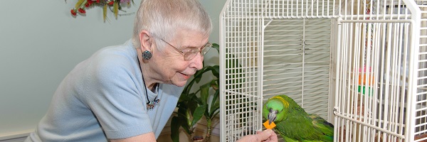 Birchaven Adult day care