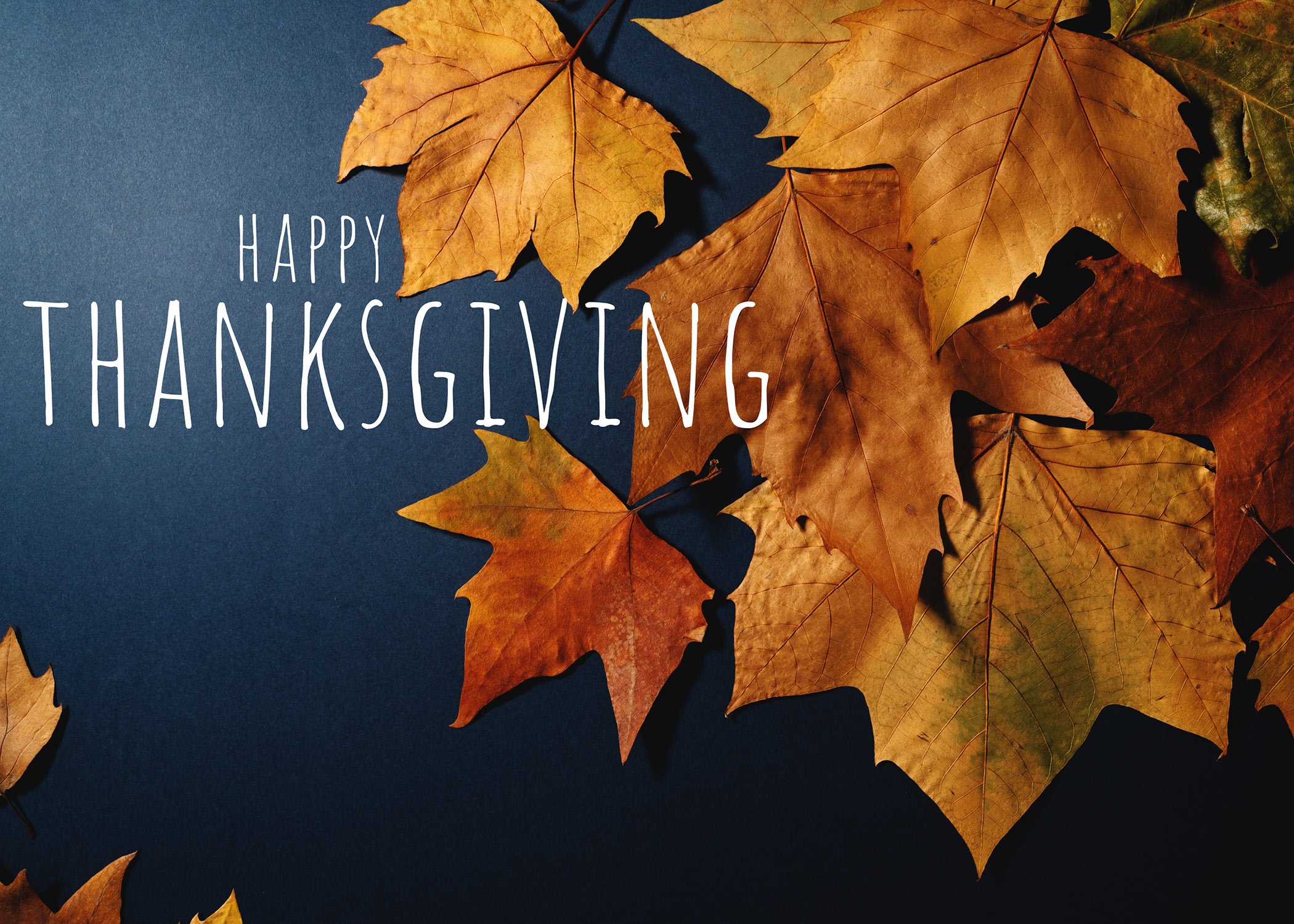 Happy Thanksgiving text overlayed on fall leaves against blue grey background