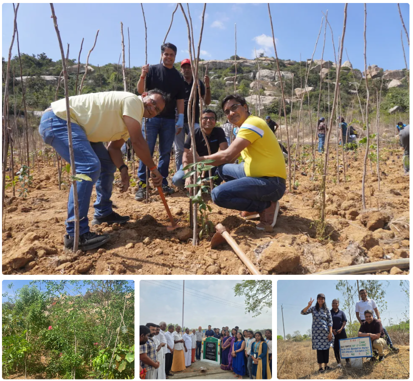 World-Environment-Day-2026