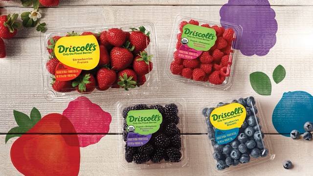 Driscoll's Leverages Warehouse Management to Manage ColdChain Complexity