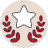 fraud icon