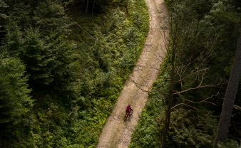 Ariel view of a red biker on a dirt trail in a forest. 