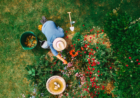 Gardener getting out of debt