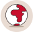 theft icon
