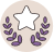 fraud icon