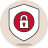 theft icon