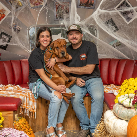punkin-ale-fest-dogs-2024