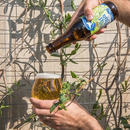 Mixed Media by Dogfish Head Craft Brewery