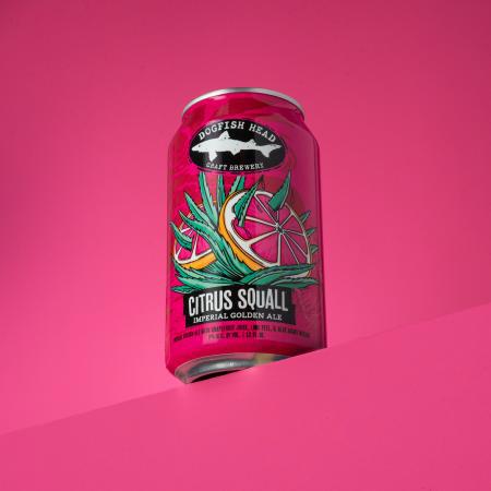 Citrus Squall by Dogfish Head Craft Brewery