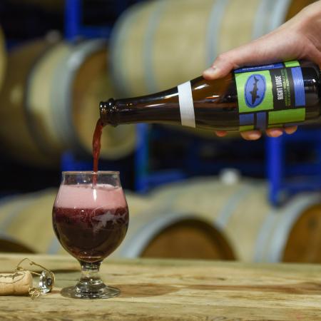 Right Loose by Dogfish Head Craft Brewery