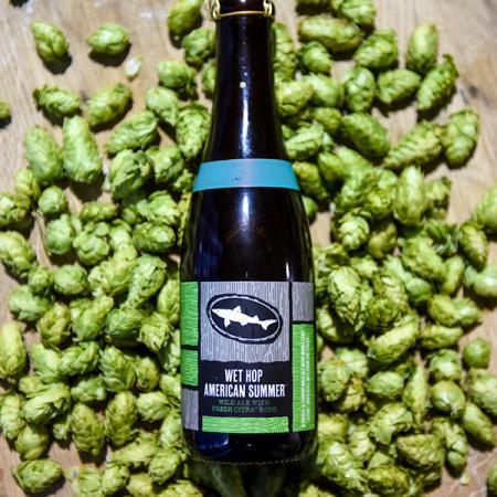 Wet Hop American Summer 2018 by Dogfish Head Craft Brewery