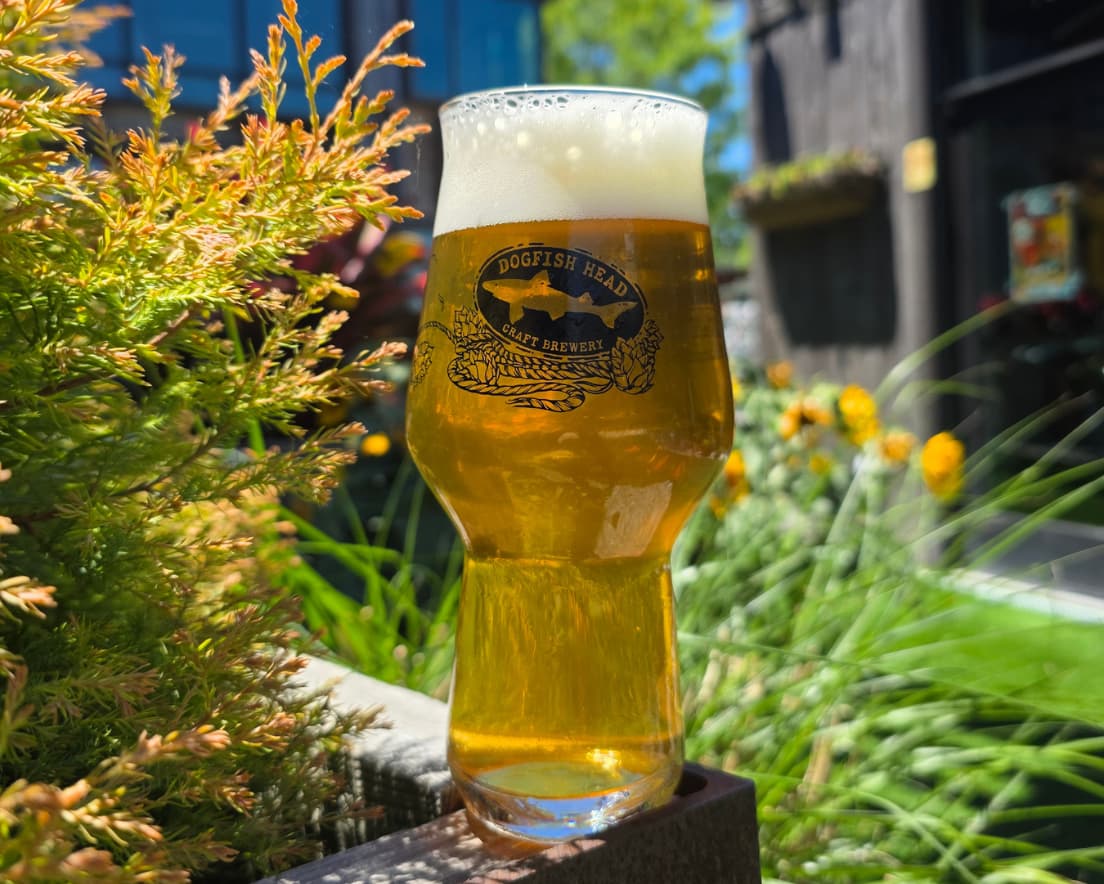 When Hopportunity Knocks by Dogfish Head Craft Brewery