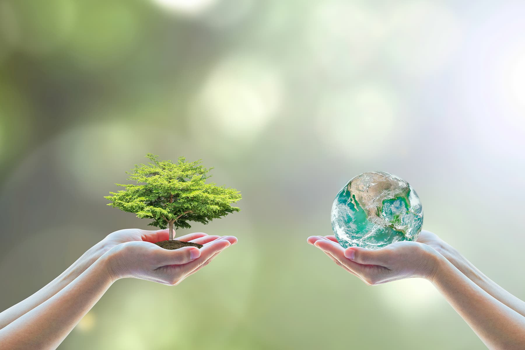 Nachhaltigkeit_iStock-948551412_1