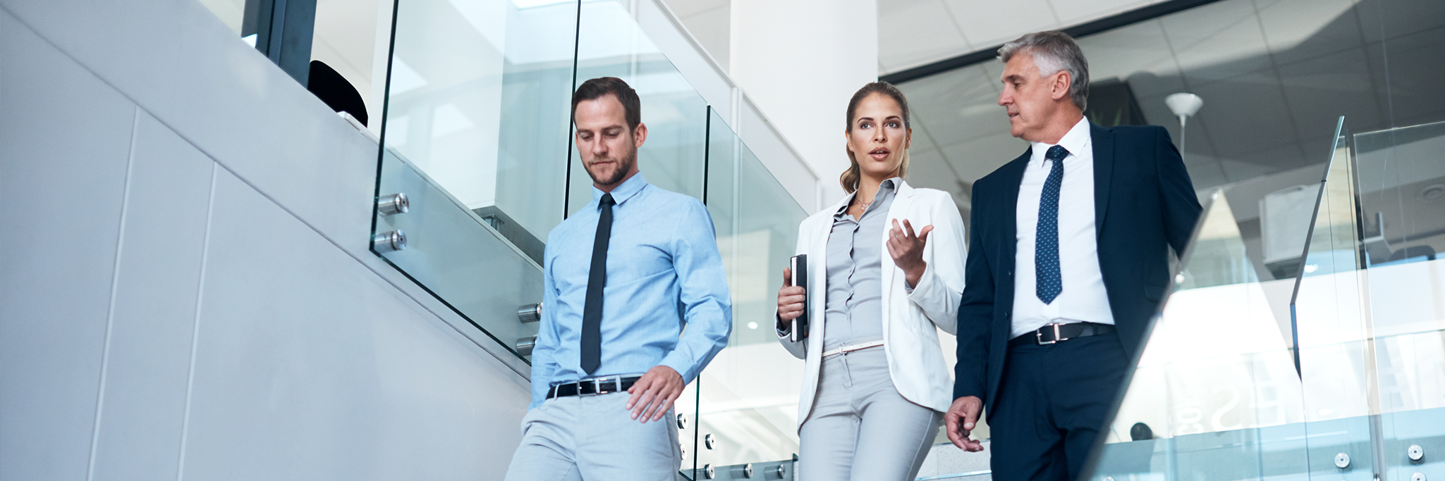 Card Interim Finance & Risk