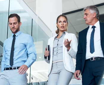 Interim digital marketing professionals