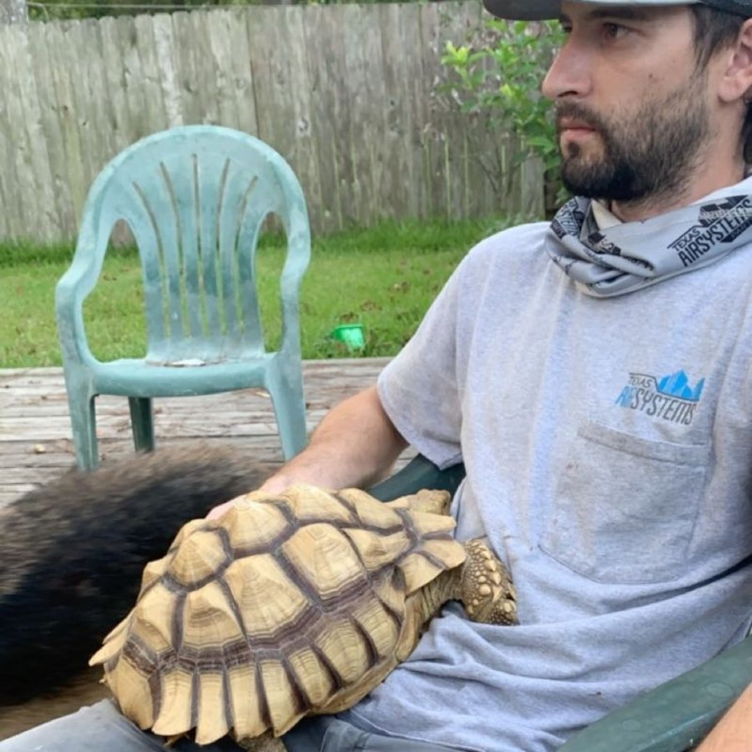 Abbi DeBeck's pet sulcata tortoise, Yoshi pictured with Abbi's husband Tim