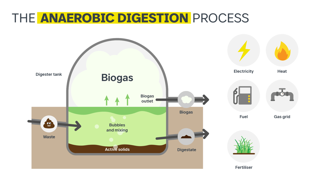 Anaerobic digestion process with waste turning into biogas and digestate which turns into energy sources