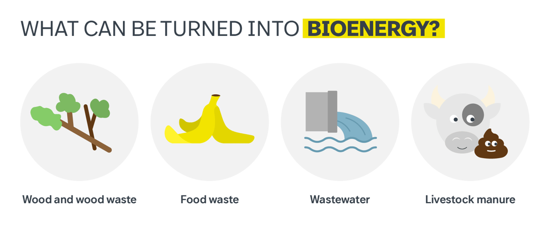 Bioenergy comes from sources such as wood and waste, food waste, wastewater and livestock manure.