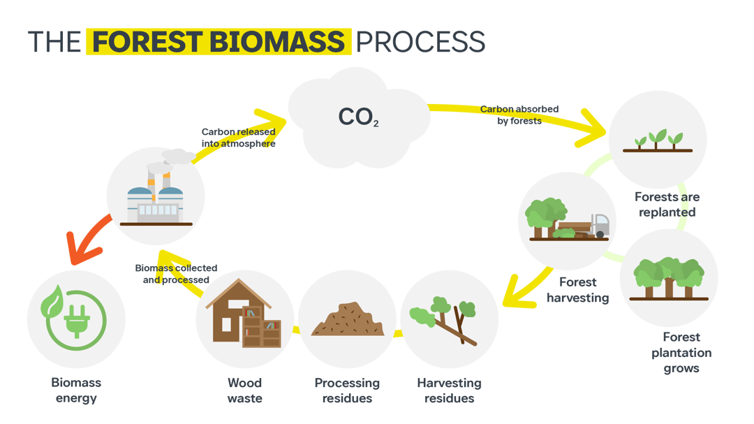 Bioenergy process from carbon dioxide, forest harvesting, biomass processing converting to biomass energy
